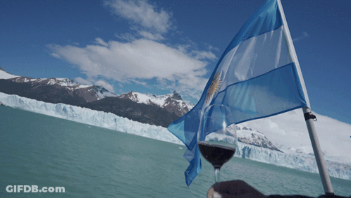 A Person Holds A Glass Of Wine In Front Of A Flag GIF