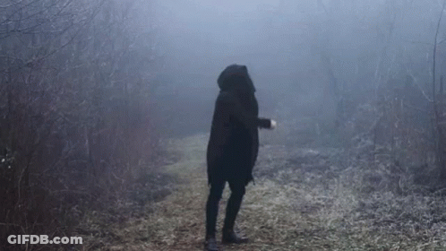 A Person In A Black Coat Is Standing In The Fog In A Forest . GIF