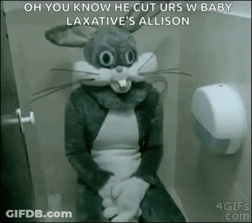 A Person In A Bunny Costume Is Sitting On A Toilet . GIF