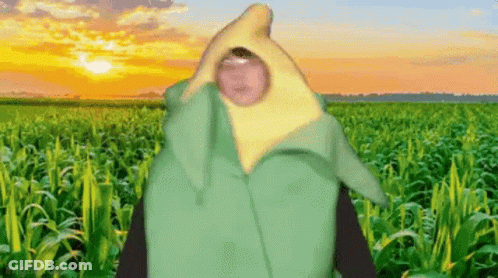 A Person In A Corn On The Cob Costume Is Standing In A Field Of Corn . GIF