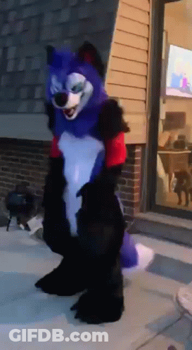 A Person In A Furry Costume Is Standing In Front Of A Building GIF