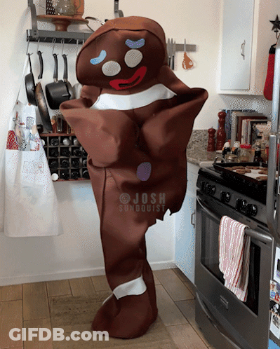 A Person In A Gingerbread Man Costume Is Standing In A Kitchen By A Stove GIF