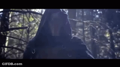 A Person In A Hooded Sweatshirt Is Standing In The Woods . GIF