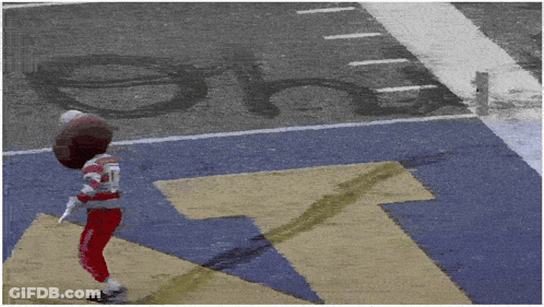 A Person In A Mascot Costume Is Standing In Front Of A Football Field GIF