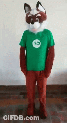 A Person In A Raccoon Costume Is Wearing A Green Shirt GIF