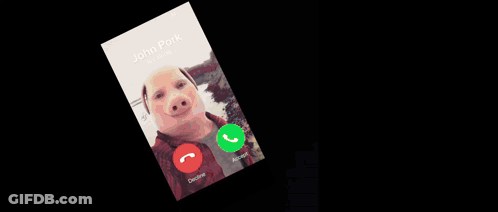 A Person In A Red Glove Is Holding A Cell Phone With A Picture Of A Pig On The Screen GIF