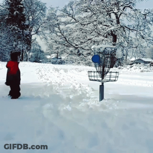 A Person In A Red Jacket Stands In The Snow Near A Frisbee Golf Basket GIF