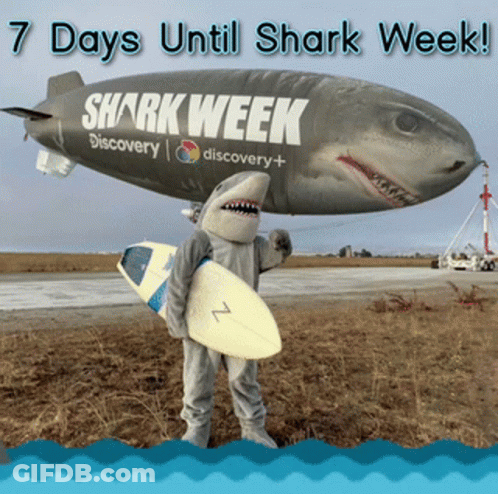 A Person In A Shark Costume Holding A Surfboard In Front Of A Blimp That Says Shark Week GIF