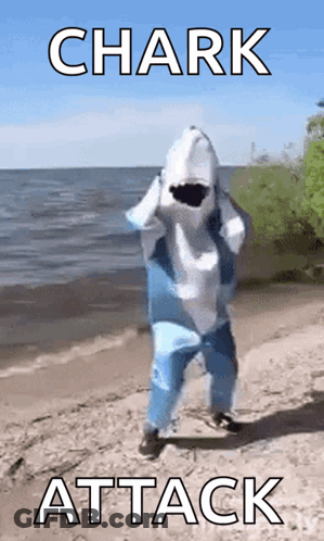 A Person In A Shark Costume Is Standing On The Beach . GIF