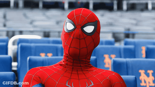 A Person In A Spiderman Costume Sitting In A Stadium GIF