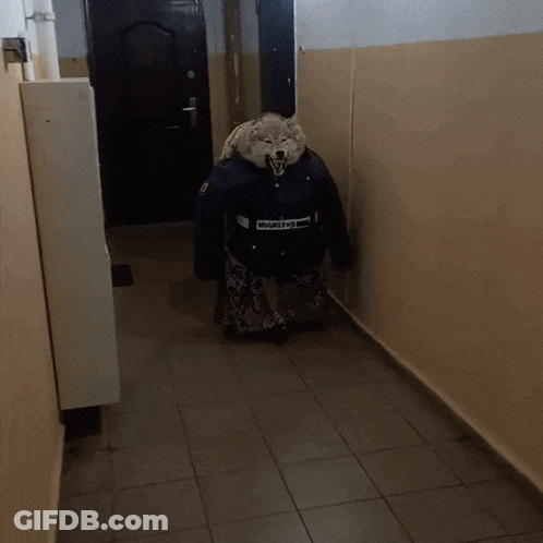 A Person In A Wolf Costume Is Walking Down A Hall GIF