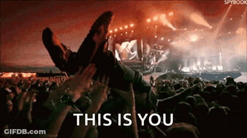 A Person Is Being Lifted In The Air At A Concert With The Words This Is You Below Them GIF