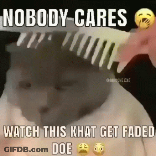 A Person Is Brushing A Cat 'S Hair With A Comb And Says Nobody Cares Watch This  Khat Get Faded GIF