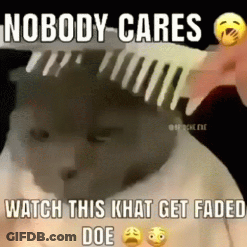 A Person Is Brushing A Cat 'S Hair With A Comb And The Cat Is Looking Sad . GIF