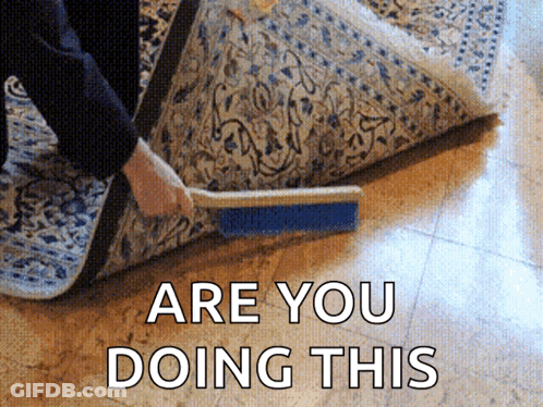 A Person Is Brushing A Rug With The Words Are You Doing This Below It GIF