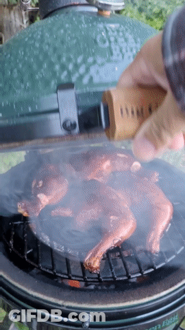 A Person Is Cooking Meat On A Big Green Egg GIF