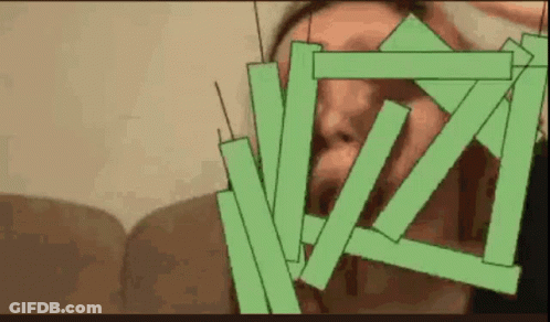 A Person Is Covering Their Face With Green Sticks GIF