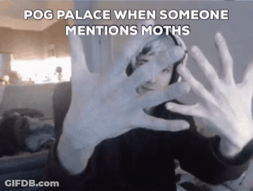 A Person Is Covering Their Face With Their Hands In Front Of A Camera . GIF