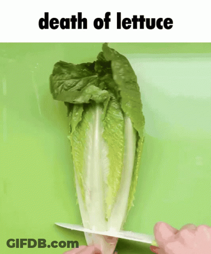 A Person Is Cutting A Lettuce With The Words Death Of Lettuce Above It GIF