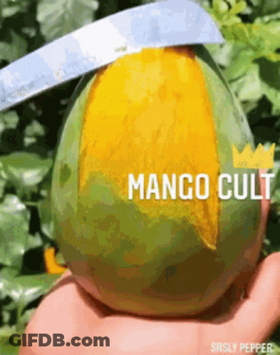 A Person Is Cutting A Mango With A Knife And The Words Mango Cult Are On The Bottom GIF
