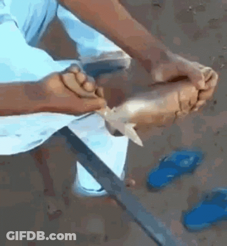 A Person Is Cutting A Piece Of Paper With A Knife While Sitting On The Ground . GIF