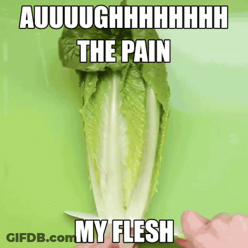 A Person Is Cutting Lettuce With The Words " The Pain My Flesh " On The Bottom GIF