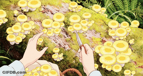 A Person Is Cutting Mushrooms With A Knife On A Log GIF