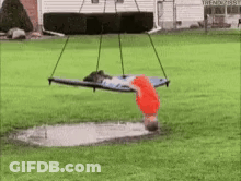 A Person Is Doing A Handstand On A Swing Over A Puddle Of Water . GIF