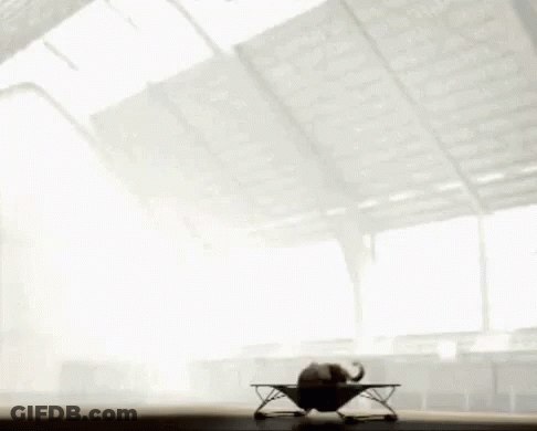 A Person Is Doing A Trick On A Table In Front Of A Window . GIF