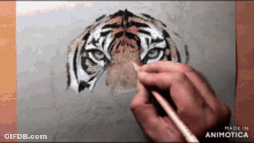 A Person Is Drawing A Tiger On A Piece Of Paper With A Pencil GIF