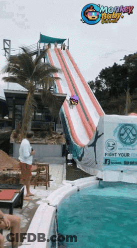 A Person Is Going Down A Water Slide With A Sign That Says Fight Your Monkey GIF