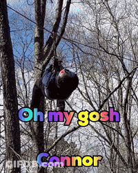 A Person Is Hanging Upside Down In A Tree With The Words Oh My Gosh Connor On The Bottom GIF
