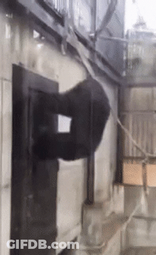 A Person Is Hanging Upside Down On A Rope On A Wall GIF