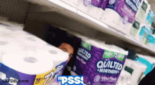 A Person Is Hiding Behind A Roll Of Quilted Northern Paper Towels GIF