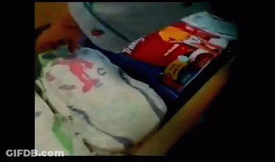 A Person Is Holding A Bag That Says Tommy GIF
