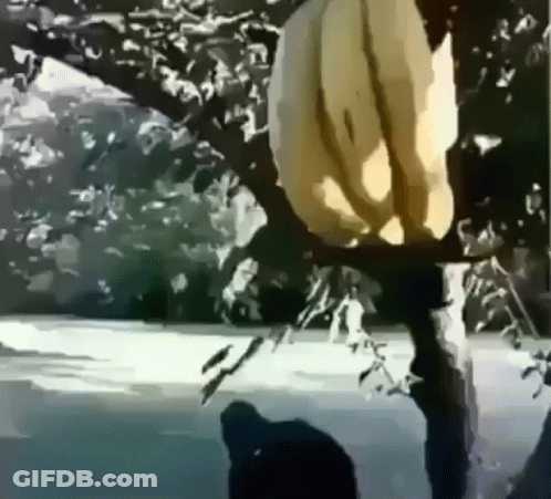 A Person Is Holding A Banana In Their Hand In A Black And White Photo GIF