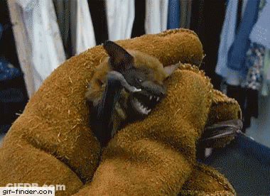 A Person Is Holding A Bat With A Gif-Finder.com Watermark On The Bottom Right GIF