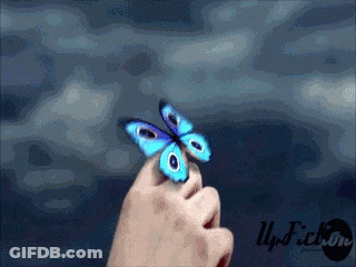 A Person Is Holding A Blue Butterfly In Their Hand In Front Of A Blue Sky GIF