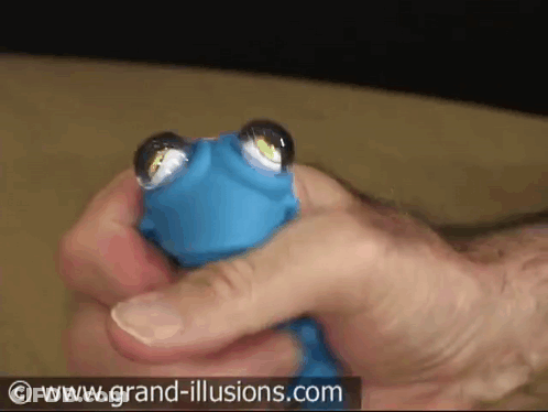 A Person Is Holding A Blue Toy With Googly Eyes And The Website Grand-Illusions.com Is Visible In The Background GIF