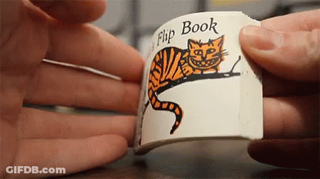 A Person Is Holding A Book With A Cat On It That Says Flip Book GIF