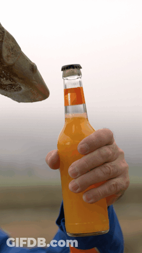 A Person Is Holding A Bottle Of Orange Juice In Their Hand GIF