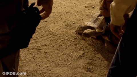 A Person Is Holding A Bottle Of Water In Their Hand In The Dirt . GIF