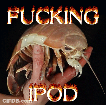 A Person Is Holding A Bug With The Words " Fucking Ipod " Written On It GIF