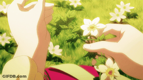 A Person Is Holding A Bunch Of Flowers In Their Hands GIF