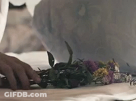 A Person Is Holding A Bunch Of Flowers In Their Hands . GIF