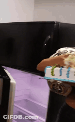 A Person Is Holding A Cake In Front Of A Refrigerator GIF