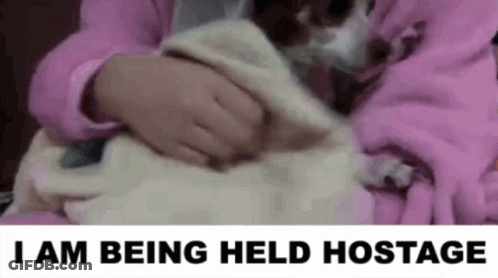 A Person Is Holding A Cat In Their Arms And The Words I Am Being Held Hostage Are Above Them . GIF