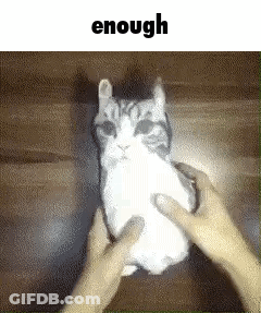 A Person Is Holding A Cat In Their Hands With The Words `` Enough '' Written Above It . GIF