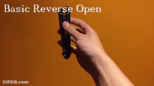 A Person Is Holding A Cell Phone With The Words Basic Reverse Open Written Above Them GIF
