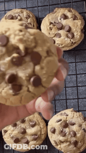 A Person Is Holding A Chocolate Chip Cookie In Front Of A Cooling Rack GIF